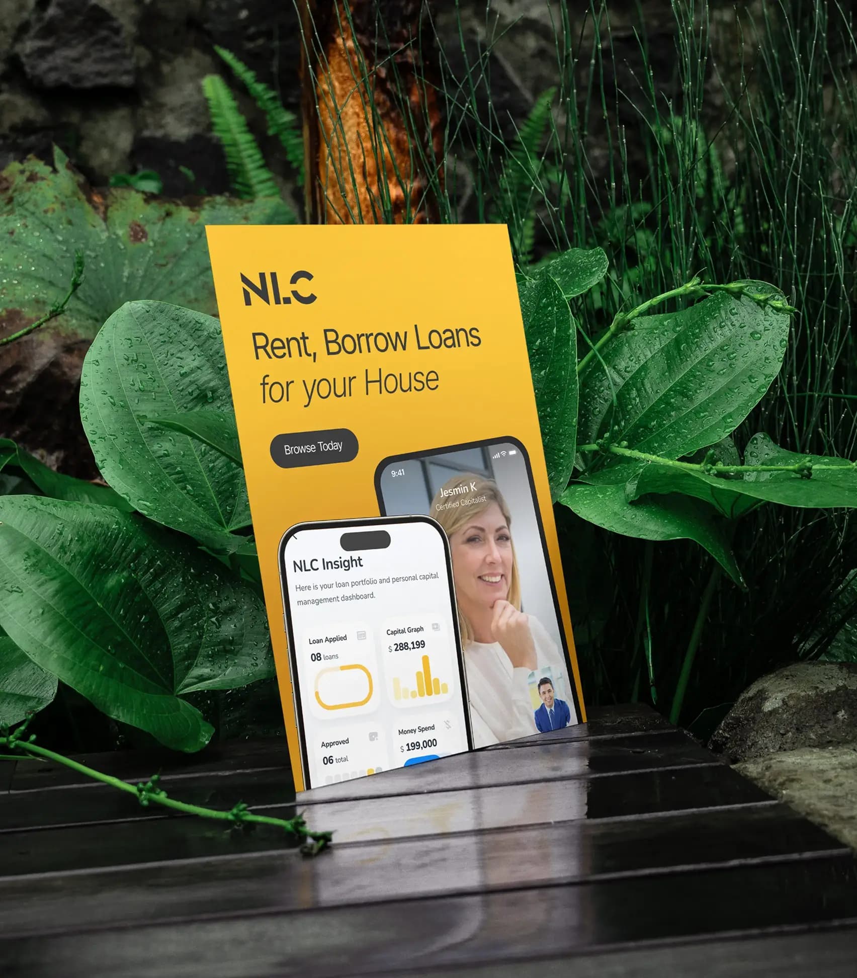 NLC- Capital Management System