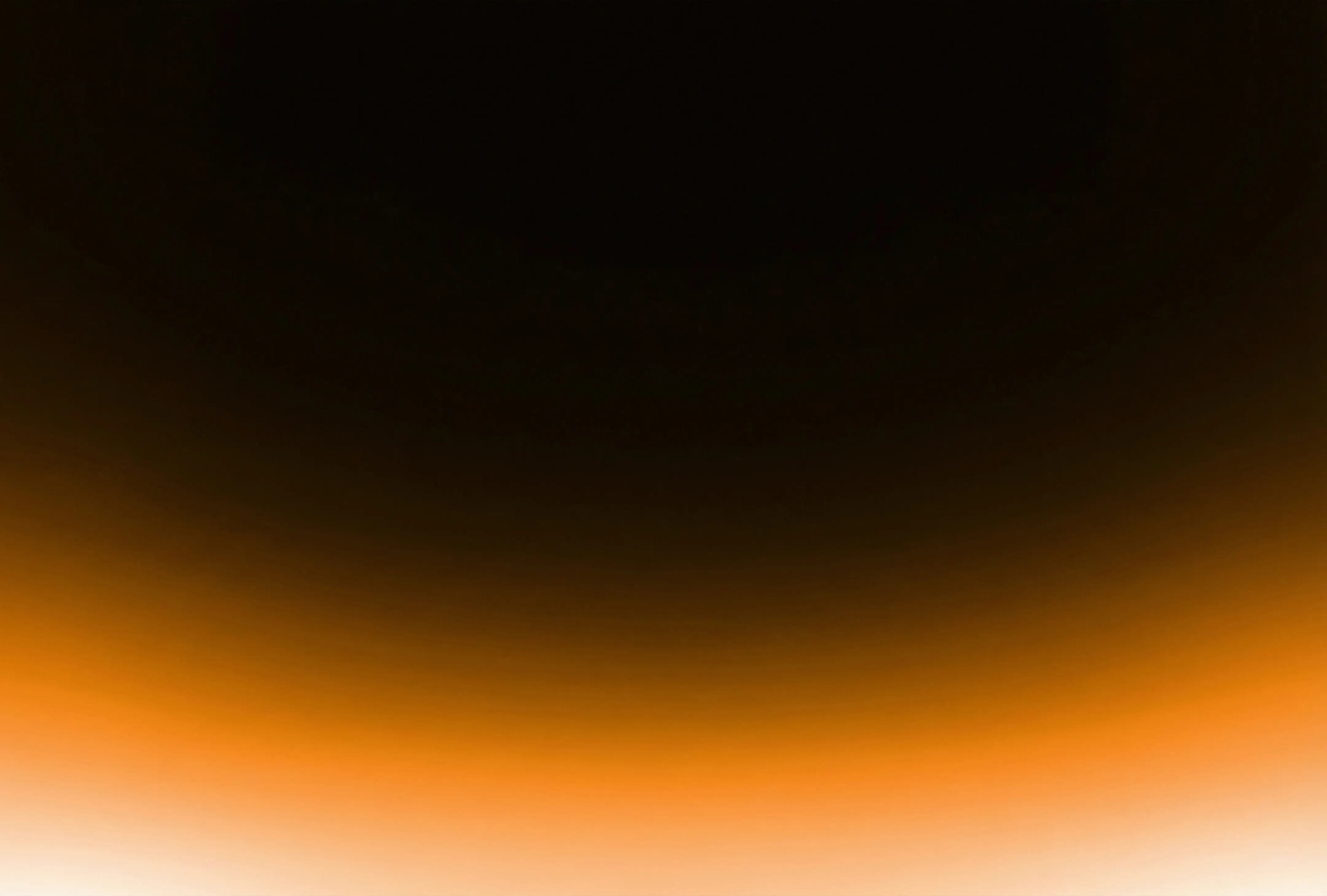 NLC- Capital Management System background